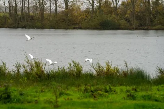 Godmanchester Nature Reserve