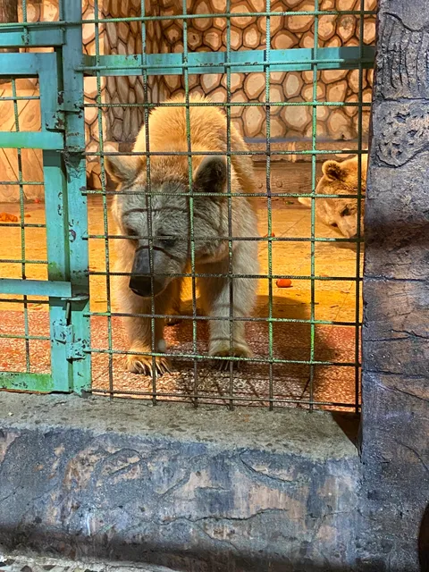 حديقة الحيوانات