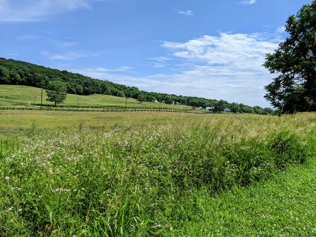 Schoolhouse Ridge North