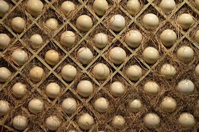 BarfussPark Hallwangen