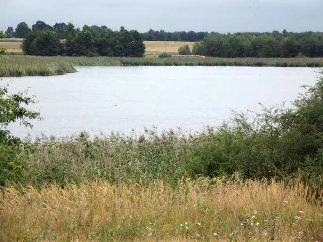 Jezioro Gorzuchowskie