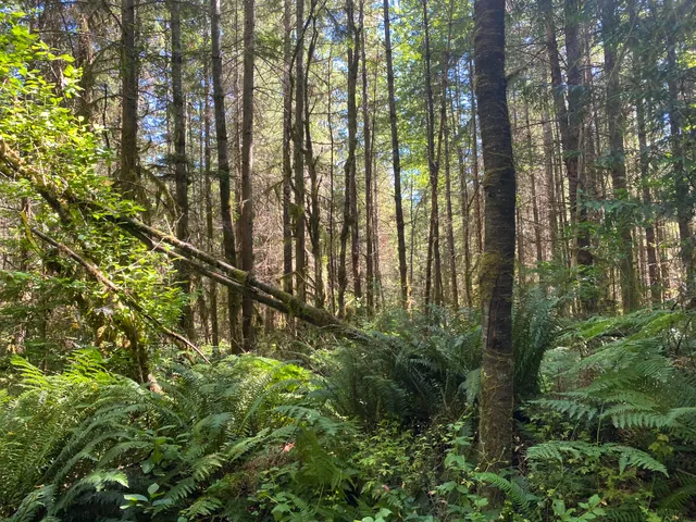 Paradise Valley Conservation Area Parking and Trail Head