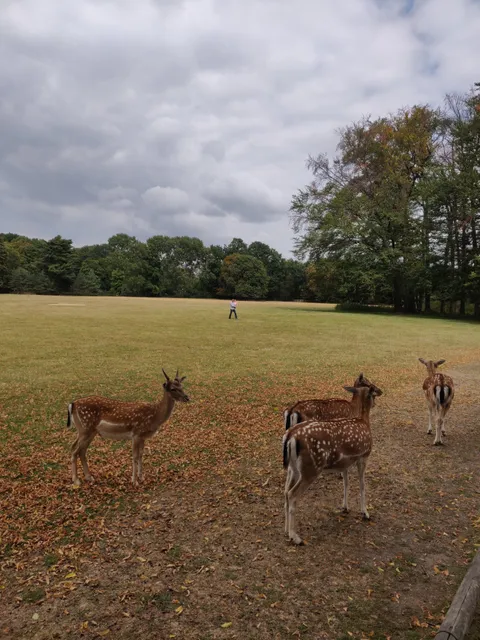 Lindenthaler Tierpark