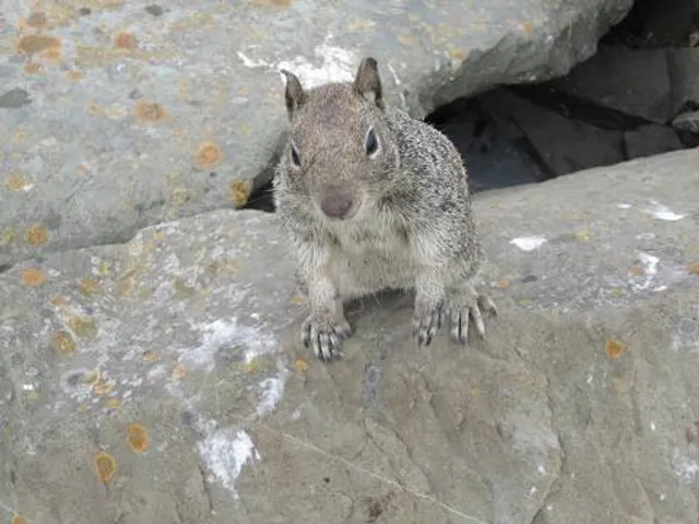 Landbouw-Juttersmuseum Swartwoude