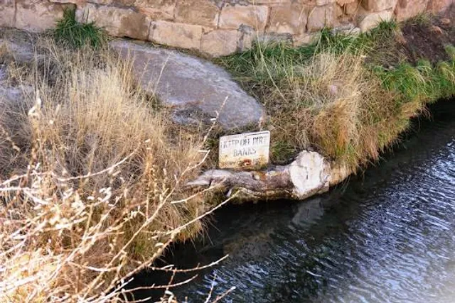 place image