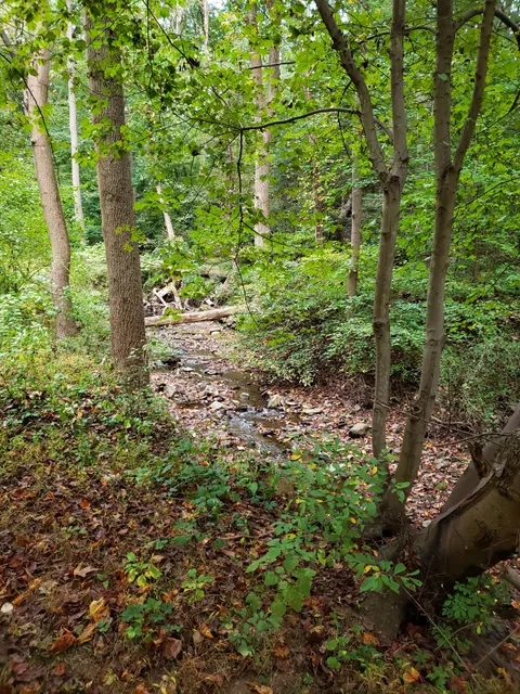 Glen Providence Park