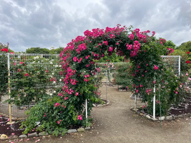 オウジセイシバラエン