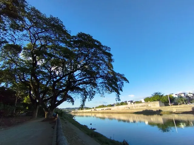 Marikina River Water Level