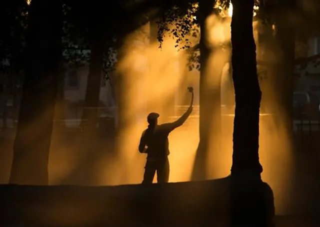 Wilshire Park Off-Leash Areas