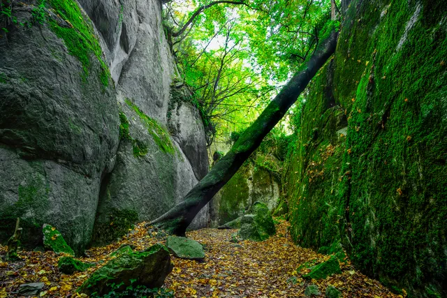 Els Bufadors de Beví