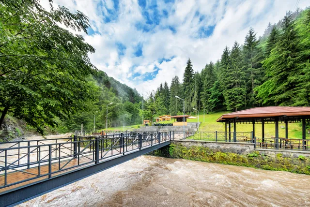 Borjomi Municipality