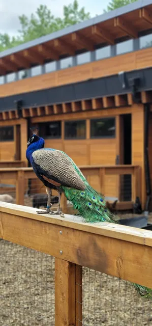 Valley Zoo Development Society