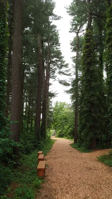 Asahikawa City Foreign Tree Species Sample Forest