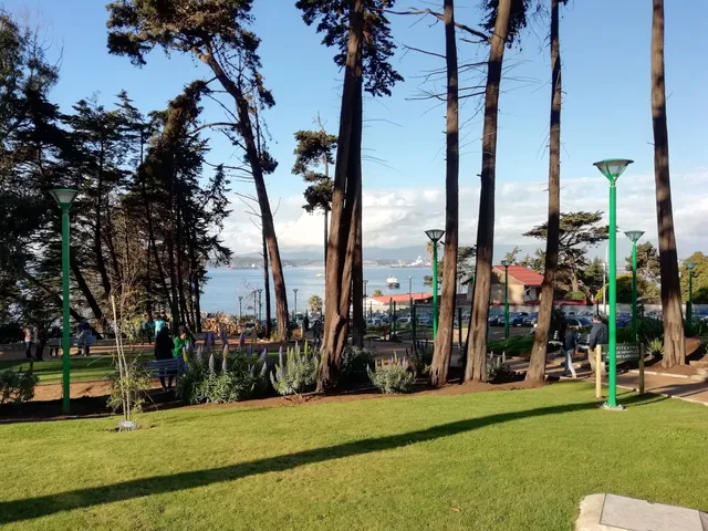 photo-1