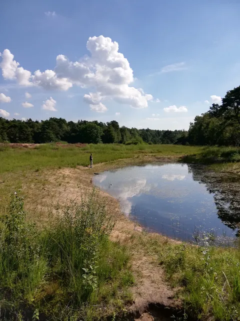 Schnaakenmoor Nature Reserve