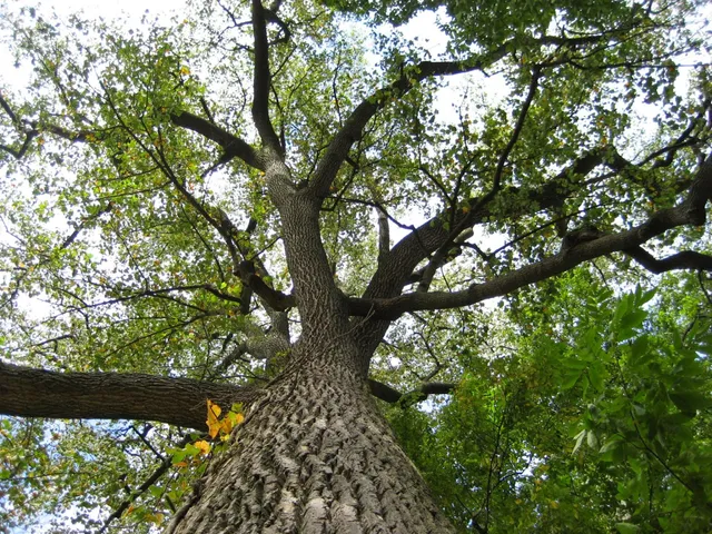 Crawfordsville Parks and Recreation