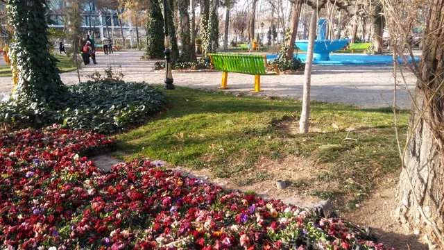 photo-2