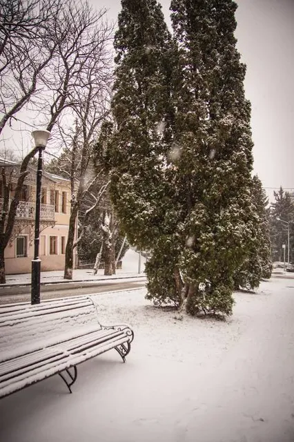 Sítio do Pica Pau Amarelo Taubaté - Museu Monteiro Lobato