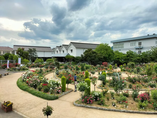 Ayabe Gunze Square Rose Garden