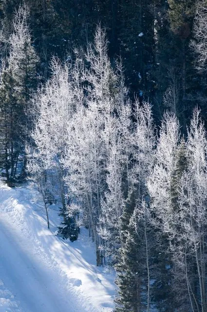 Enchanted Forest Cross Country Ski Area