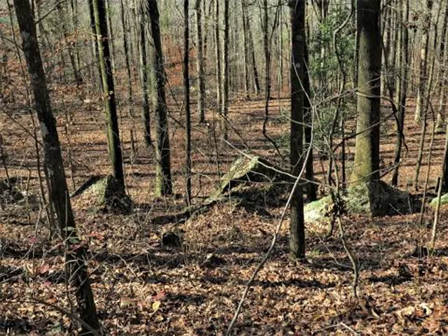 Rocky Woods