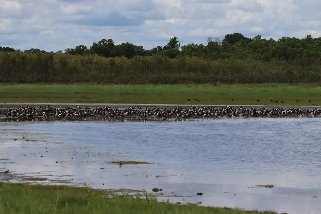Knuckey Lagoons Conservation Reserve