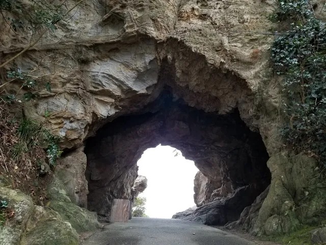 Futomi Flower Rock Fishing Center