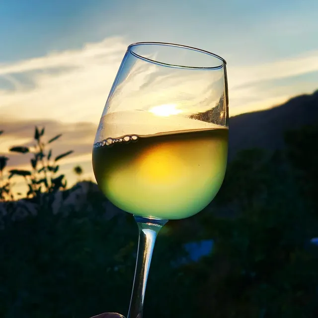 Pearson Brothers Winery Purveyors of Wildflower Honey Wine and Bubbly.