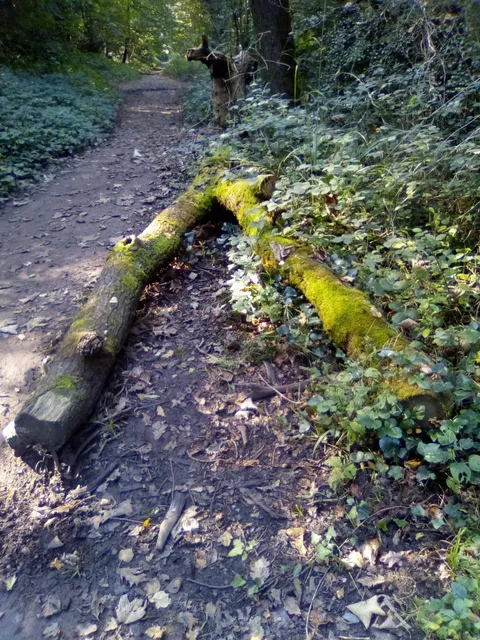photo-2