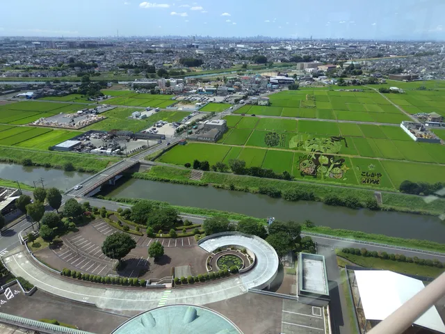 Koshigaya Rice Paddy Art