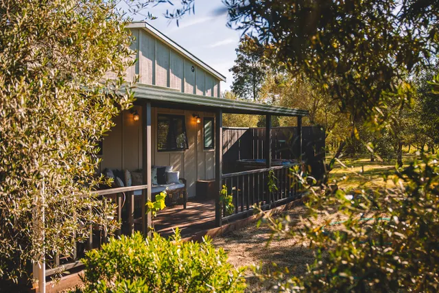 Olive and Vine Estate