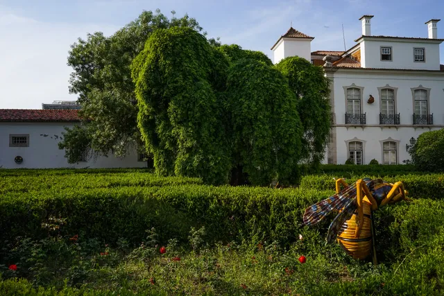 Museum of Lisbon / Pimenta Palace