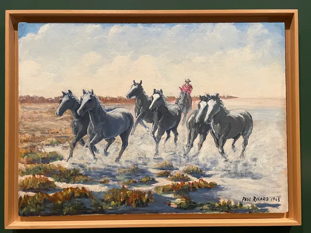 Musée Paul Ricard de Méjanes