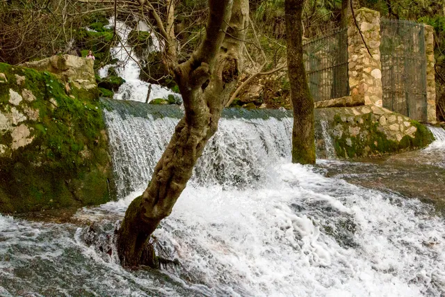 Manantial Las Artezuelas