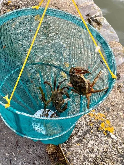 Maria Mitchell Association Classroom