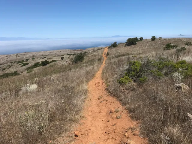 Scorpion Canyon Loop Hike