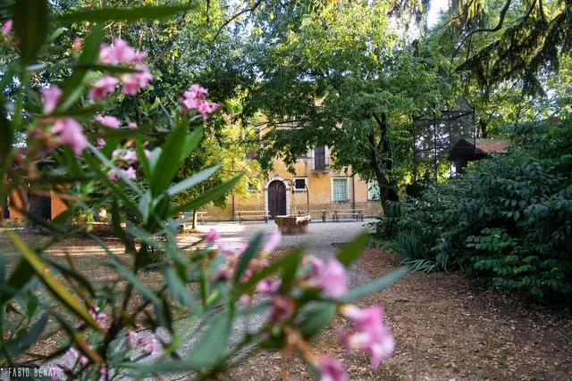 place image