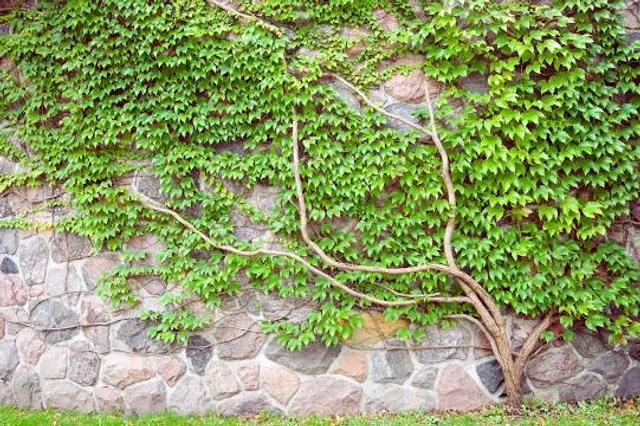 T.H. Broyhill Walking Park