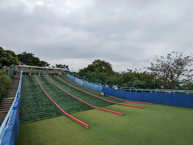 Grass sliding ground at the Taipa Grande Natural Park