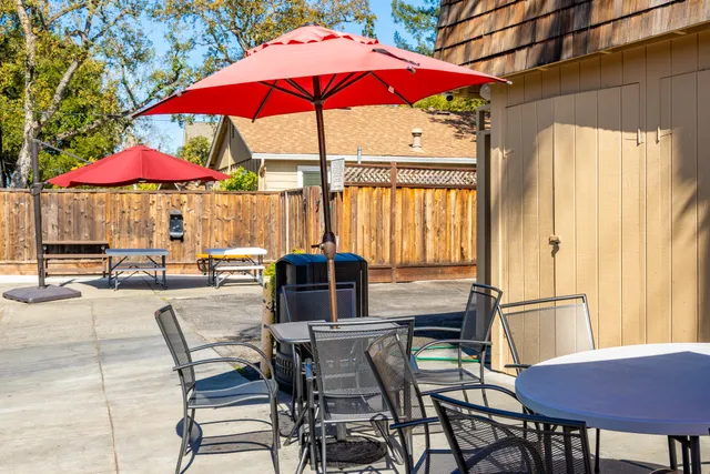 The Happy Hound of Los Gatos