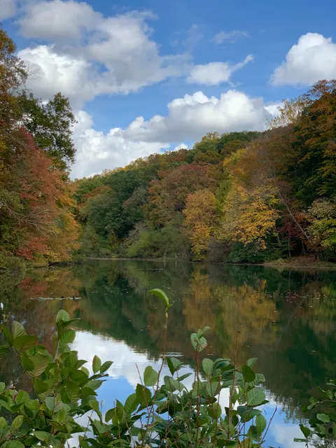 Oak Grove Picnic Grounds