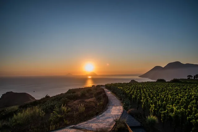 Tenuta di Castellaro