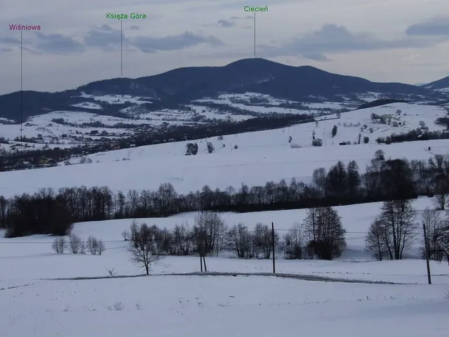 Księża Góra (Beskid Wyspowy)