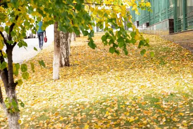 National Museum of Geology