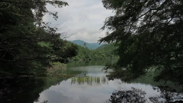 Myojin Pond