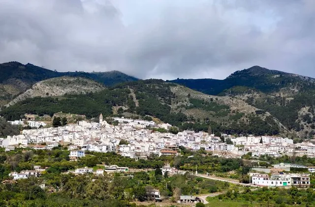 Cactus y Otras Suculentas 'Mora i Bravard' Botanical Garden