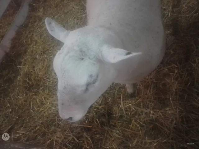 Sociedad Rural de Concordia