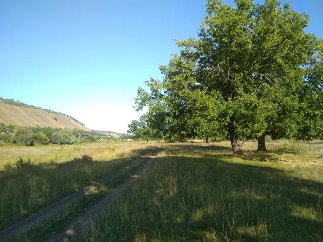 сельское поселение Васильевка