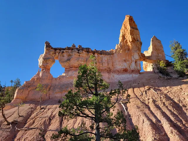 Bryce Canyon Tower Bridge