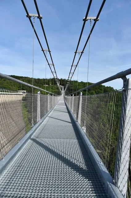 Harzdrenalin Megazipline